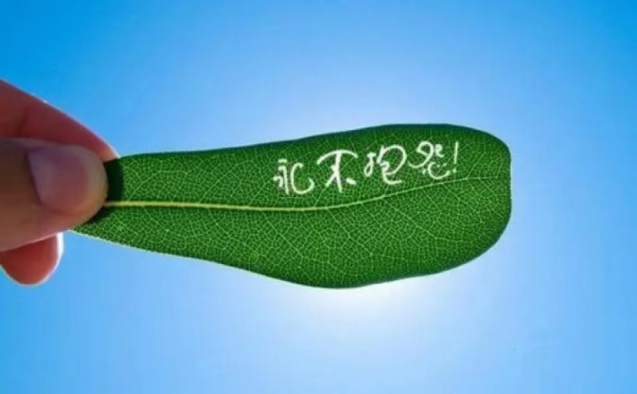 建筑設(shè)計的前景